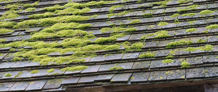 couverture toiture Paris